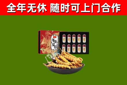 龙华回收冬虫夏草价格